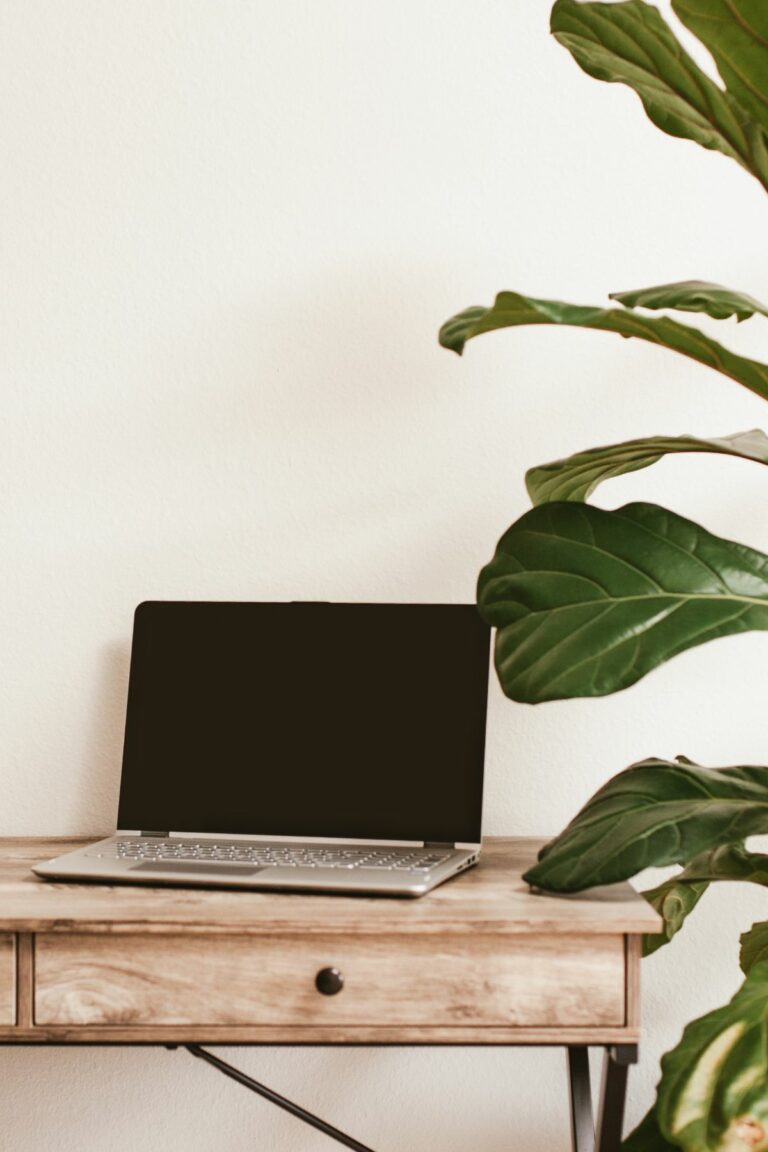 Why You Need A CEO Date