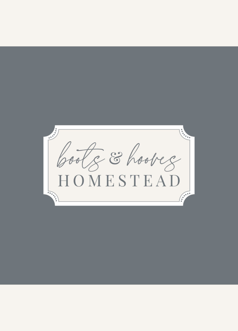 Design Launch: Boots & Hooves Homestead